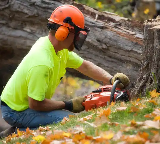 tree services Sutton